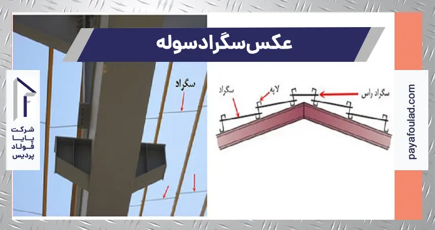 عکس سگراد سوله